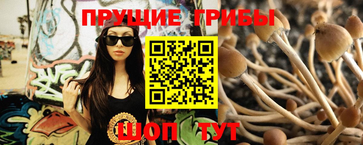 Галлюциногенные грибы Psilocybine cubensis  где купить   Псилоцибиновые грибы Psilocybine cubensis  Сегежа  Вход с VPN 